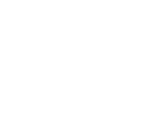 Dutchproservices.nl